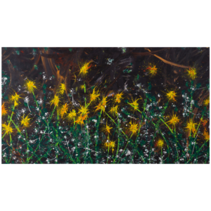 Comets of prosperity