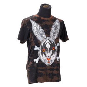 Rabbit AC / DC