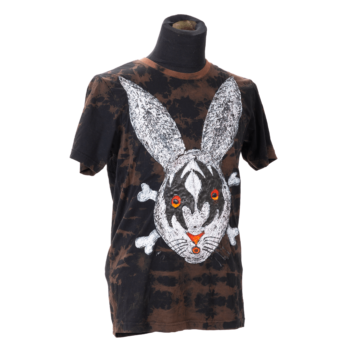 Rabbit AC / DC