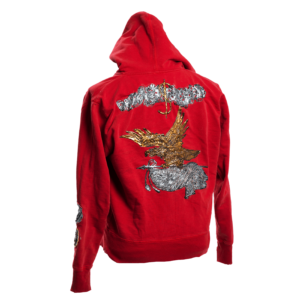 Eagle of freedom