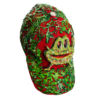 Toad
