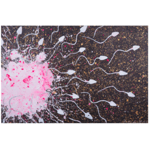 Conception of a new life